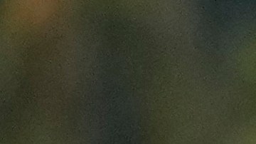 10 cosas que debes tomar en cuenta para obtener la ‘green card’ en Estados Unidos, según ChatGPT