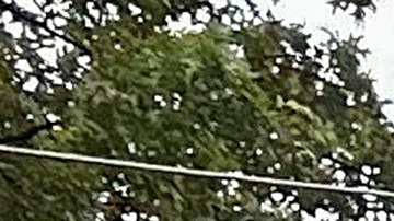 Un hombre trabaja para limpiar un desagüe en las aguas de una inundación.