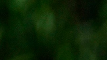 Migrantes venezolanos atraviesan un río en la selva del Darién.