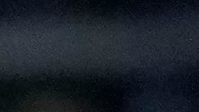 Árbitro alemán Patrick Ittrich.