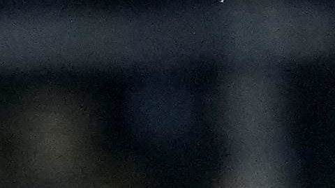 Árbitro alemán Patrick Ittrich.