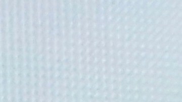 Russia Cultural Forum Putin