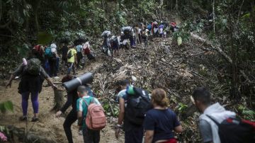 Panamá afirmó que Médicos Sin Fronteras enviaba informes incompletos de migrantes abusadas en Darién