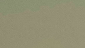 Un juez de control de la Sala del Poder Judicial de la Federación los procesó por tráfico de migrantes.