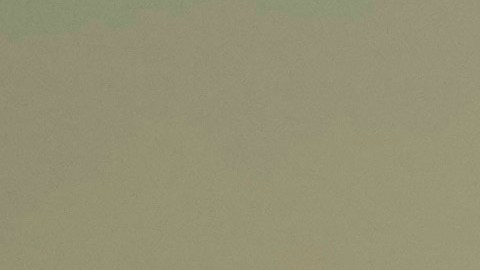 Un juez de control de la Sala del Poder Judicial de la Federación los procesó por tráfico de migrantes.