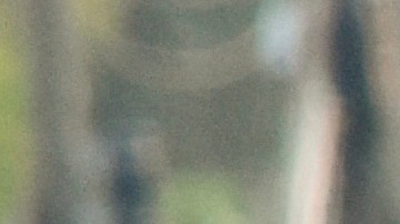 Mexico Migrant Caravan