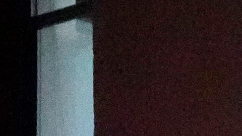 Los paramédicos declararon la muerte de Vitel en el sitio.