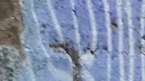 Gobierno de Ecuador aseguró que la cifra de homicidios en Ecuador cayó 60% con estado de excepción