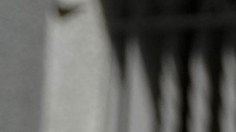 "Nunca he hecho nada mal": Luis Rubiales se defiende tras la orden de captura en su contra