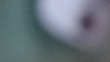 Novak Djokovic se pasó al fútbol y tras marcar un golazo festejó a lo Cristiano Ronaldo [Video]