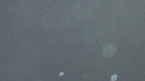 El quarterback demostró que está en grandes condiciones al superar su marca de las 40 yardas.