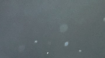 El quarterback demostró que está en grandes condiciones al superar su marca de las 40 yardas.