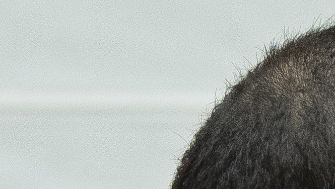 ¿Dani Alves en libertad?: La Audiencia de Barcelona decidirá si el exfutbolista sale de la cárcel