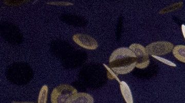 "Trabajamos para corregirlos pronto": Lakers reconoce errores ortográficos en estatua de Kobe Bryant