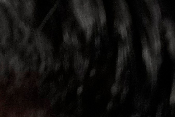 El lanzador japonés ya está recuperado de la lesión en su hombro.