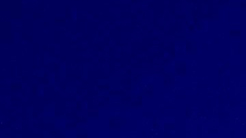 Los abogados de Navarro argumentaron que la condena era injusta.