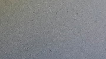 Travis Scott pagó $23.5 millones de dólares por esta mansión.