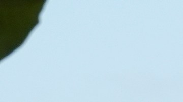 El año pasado se impuso un toque de queda a medianoche, así como en el año 2022, tras dos tiroteos que dejaron a cinco personas heridas.