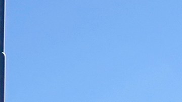 Congresistas de EE.UU. exigieron al gobierno de Biden solucionar fallas en app para solicitar asilo