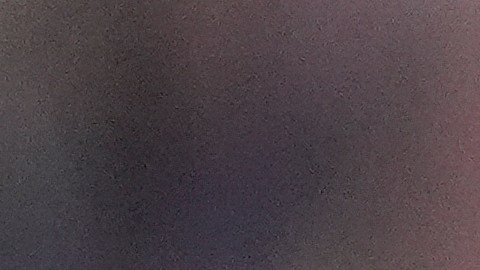 Messi sonríe tras marcar uno de los tantos en la goleada ante Orlando City.