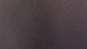 El delantero argentino disfrutó del cumpleaños de su esposa Antonela Roccuzzo.