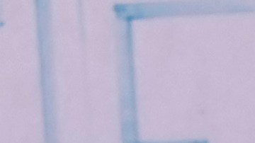 Rusia ha rechazado repetidamente los llamamientos a una investigación internacional por su muerte.