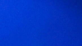 Nikki Haley ganó las primarias republicanas en Washington y superó por primera vez a Trump