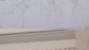 Mexico Police Under Fire