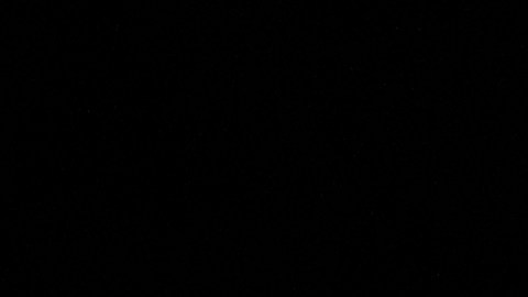 Carlo Ancelotti, entrenador del Real Madrid.