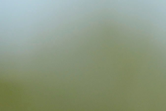 Aaron Judge, estrella de los New York Yankees.