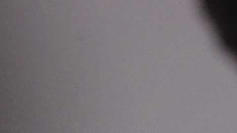 Nuevo capítulo: Empleada contraataca a Christian Horner y presenta nueva denuncia por traición en la FIA