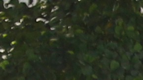 Un hombre ingresa a la embajada de Estados Unidos en Puerto Príncipe, Haití, el domingo 10 de marzo de 2024.