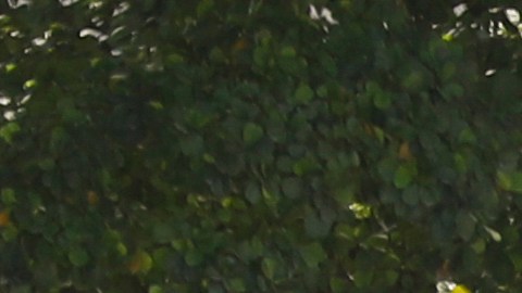 Un hombre ingresa a la embajada de Estados Unidos en Puerto Príncipe, Haití, el domingo 10 de marzo de 2024.
