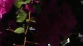 Puerto Príncipe, Haití