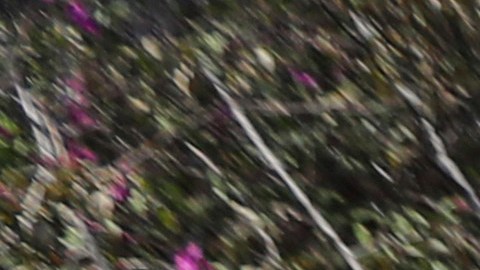 Un ataque con aviones no tripulados israelíes contra un automóvil en el sur del Líbano mató a un miembro de Hamás y al menos otra persona.