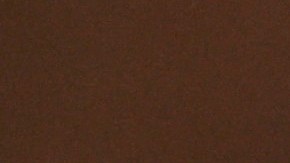 Vladímir Putin aseguró su permanencia en el poder en Rusia: obtuvo casi 90% de los votos