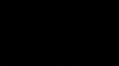 El fiscal que tuvo un romance con su jefa Fani Willis renunció para salvar el caso contra Donald Trump