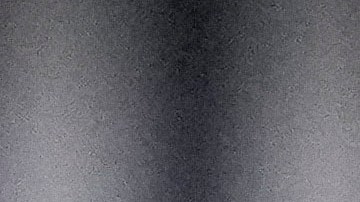 Shohei Ohtani, jugador de Los Ángeles Dodgers.