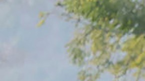 North Korea Koreas Tensions