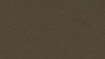 "Nunca aposté. Ippei ha estado robando dinero de mi cuenta": Shohei Ohtani se defiente de las acusaciones