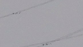 Investigación en Chile reveló hace meses problemas en buque que chocó contra puente en Baltimore