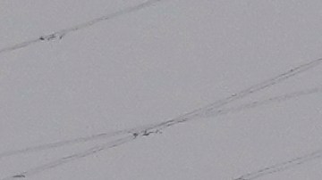 Investigación en Chile reveló hace meses problemas en buque que chocó contra puente en Baltimore