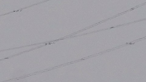 Investigación en Chile reveló hace meses problemas en buque que chocó contra puente en Baltimore