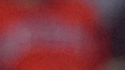 Venezolano Oswaldo Cabrera destaca en el lineup de los Yankees inspirado por el dominicano Juan Soto