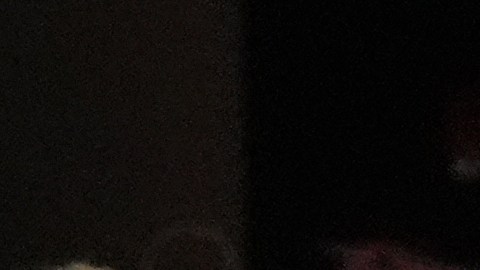 Gerardo "Tata" Martino durante el encuentro ante New York City FC.