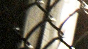 La acción de Igor Severino fue repudiada por todos los fanáticos de UFC.