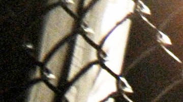 La acción de Igor Severino fue repudiada por todos los fanáticos de UFC.