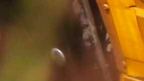 El sheriff, Bill Redshaw, explicó que al momento del accidente, el autobús transportaba a los menores a la escuela.