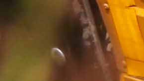 El sheriff, Bill Redshaw, explicó que al momento del accidente, el autobús transportaba a los menores a la escuela.