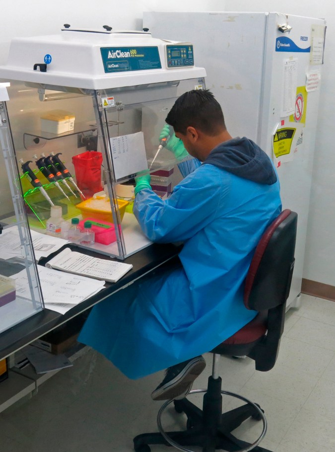Dengue en Puerto Rico
